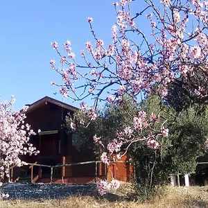 https://casa-rural-la-colina-mandarina.es-andalucia.com